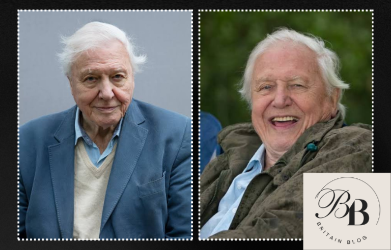 David Attenborough Net Worth 2026: The Real Story Behind His Fortune David Attenborough Net Worth
